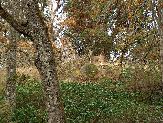 img_2005_3683.jpg