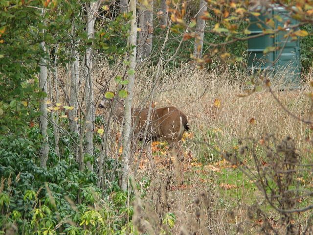 img_2005_3687.jpg