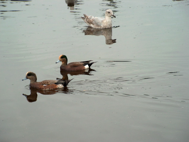 img_2005_3696.jpg
