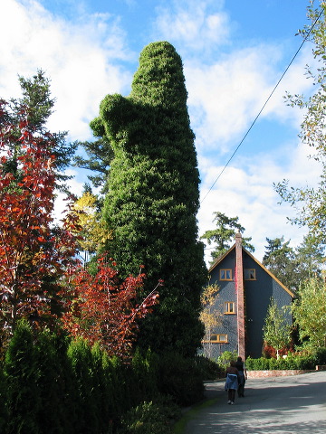 img_2005_3769.jpg