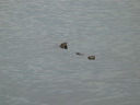 img_2005_3783