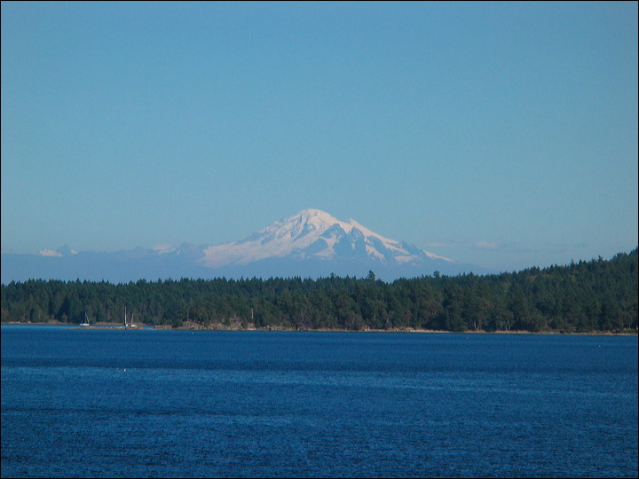 img_1391.jpg
