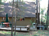 p1240066