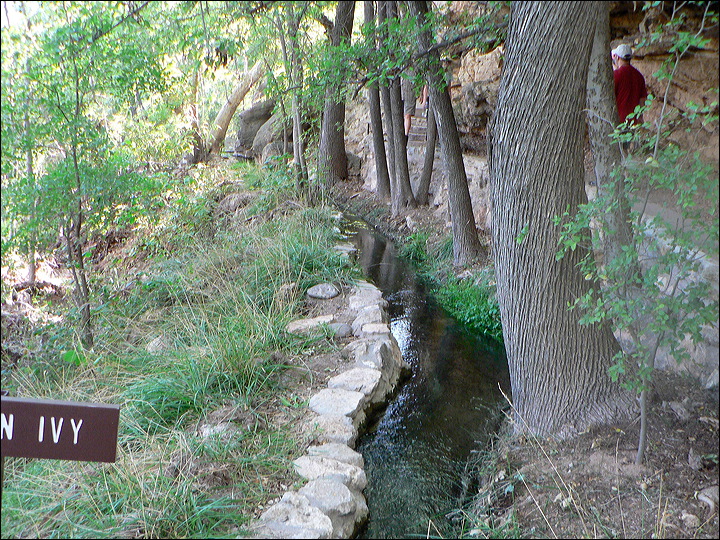 p1250066.jpg