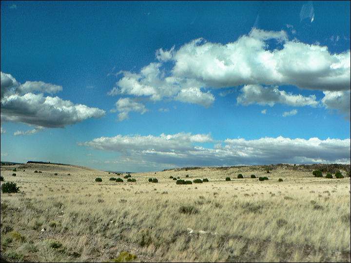 p1250194.jpg