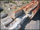 img_2416