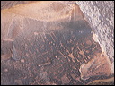 p1250292