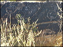 p1250316