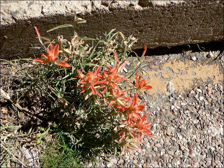 p1270016.jpg