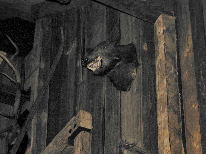 p1280016.jpg