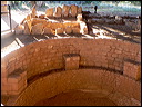 p1290211