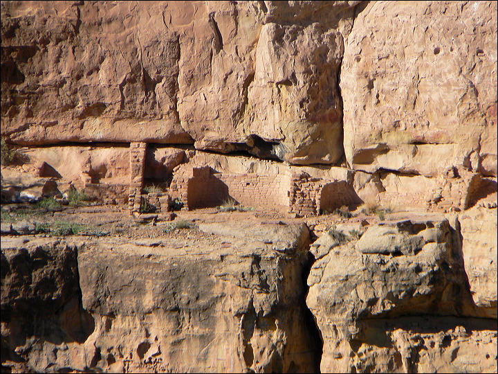 p1290186.jpg