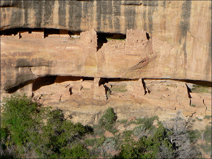 p1290194.jpg