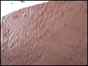 p1320188