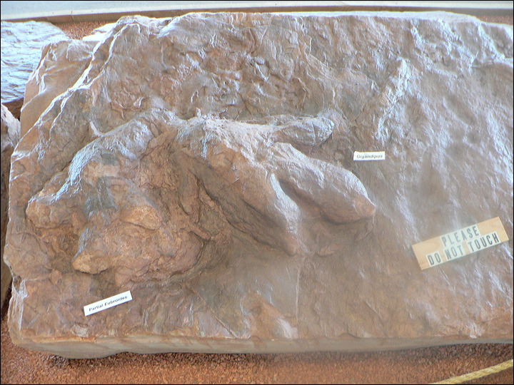 p1320187.jpg