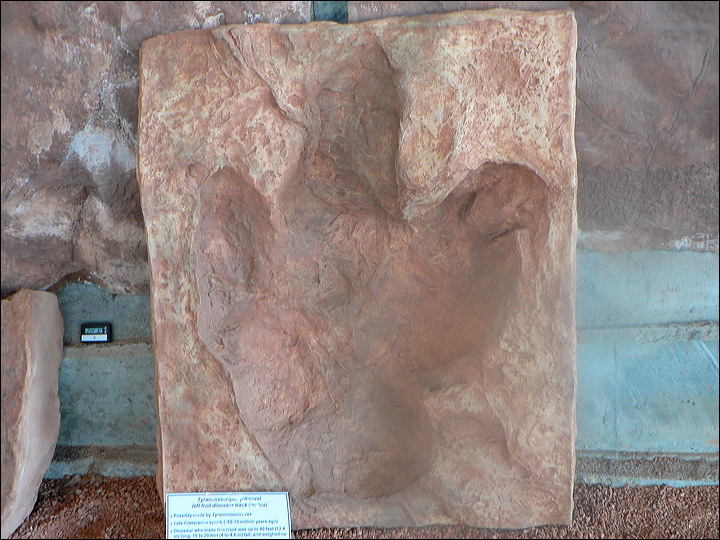 p1320190.jpg