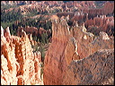 p1320394