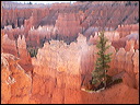 p1320412