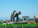 img_4461