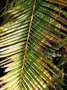 img_4511