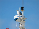img_4655
