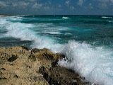 img_7392