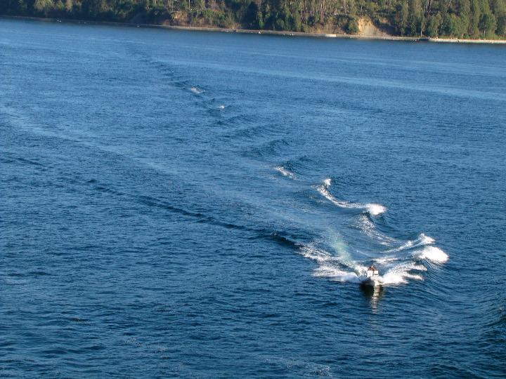 img_2708.jpg
