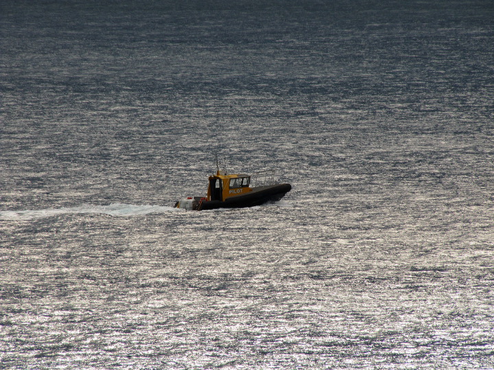 img_2864.jpg