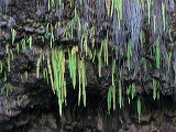 img_2932