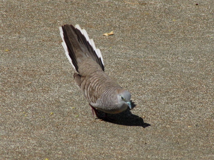 img_3099.jpg