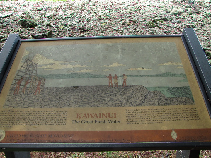 img_3147.jpg