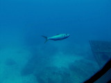 img_3234