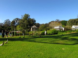 img_4319