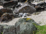 img_4440