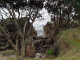 img_4444