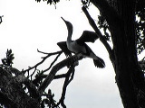 img_4465
