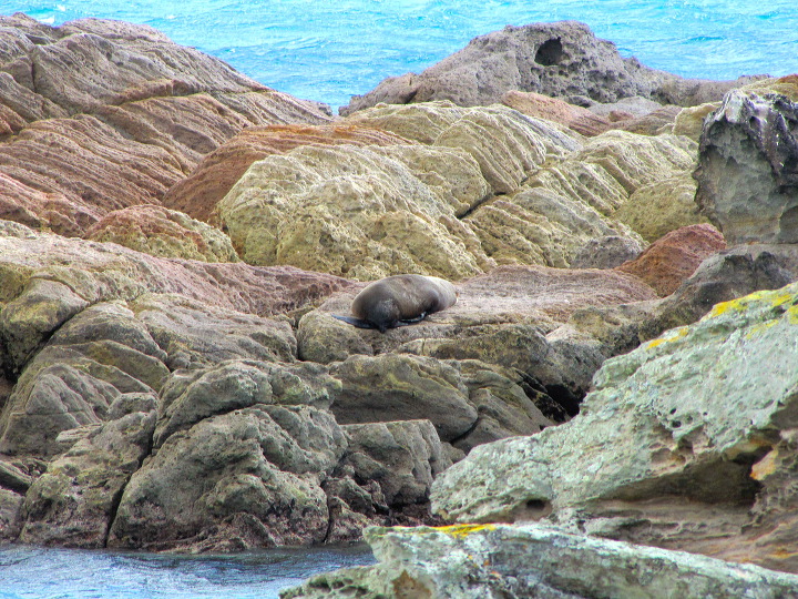 img_4435.jpg