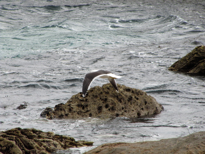 img_4439.jpg