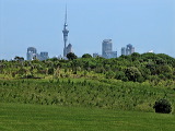 img_4659