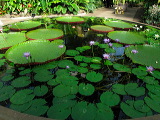 img_4750