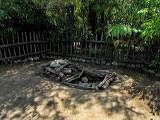 img_4801