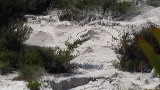 img_4804_480
