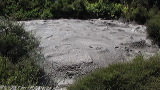 img_4816_480
