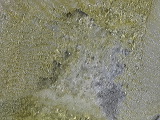 img_4831