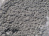 img_4835