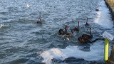 img_4874_480