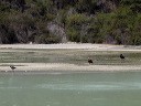 img_4983