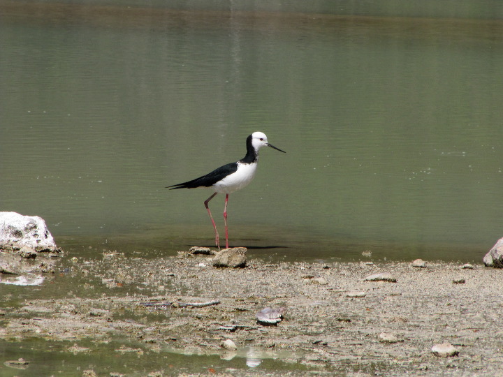 img_4986.jpg