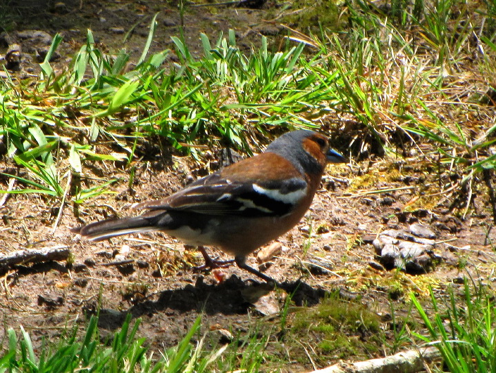img_5009.jpg