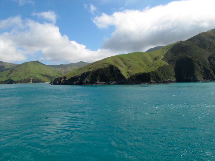 img_5241.jpg